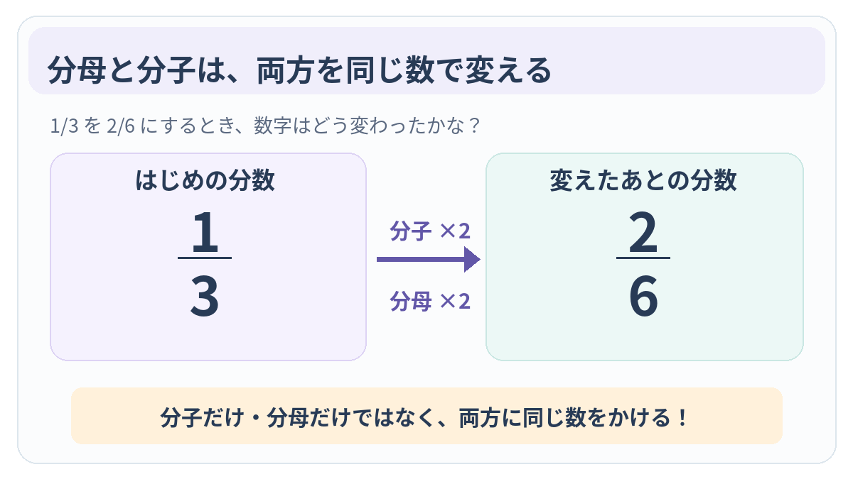 1/3の分子1と分母3の両方に2をかけると、2/6になることを示す図。