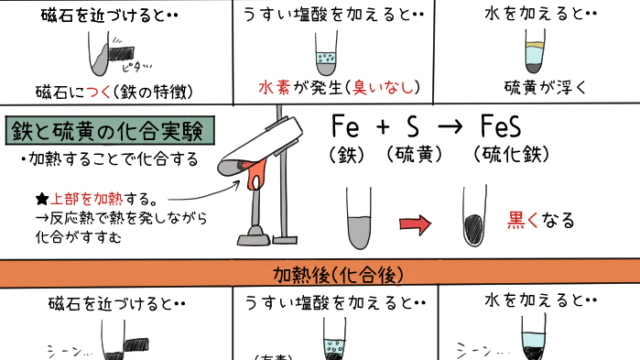 身の回りの てこを利用した道具 一覧表それぞれの力点 支点 作用点まとめ 教科書をわかりやすく通訳するサイト