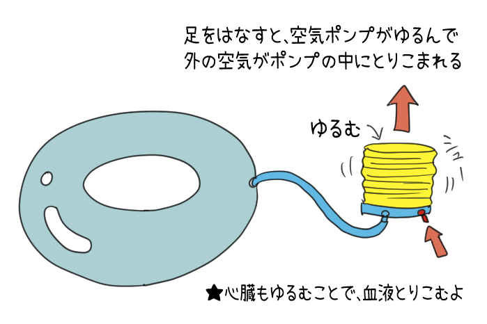 血液の働き をイラストでわかりやすく解説 小学６年生理科 体のつくりとはたらき