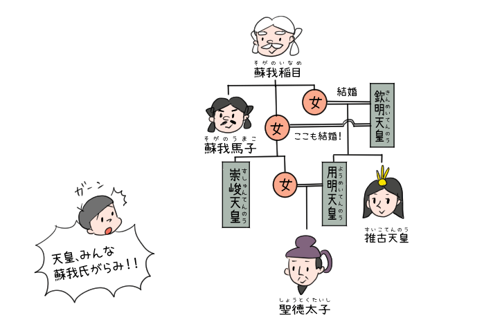 蘇我氏の家系図のイラスト
