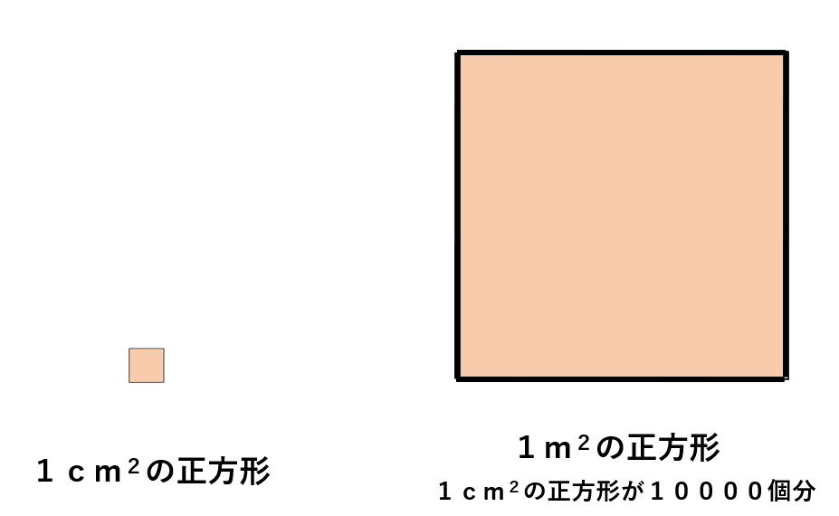 １平方センチメートルと１平方メートルの違いを説明する図