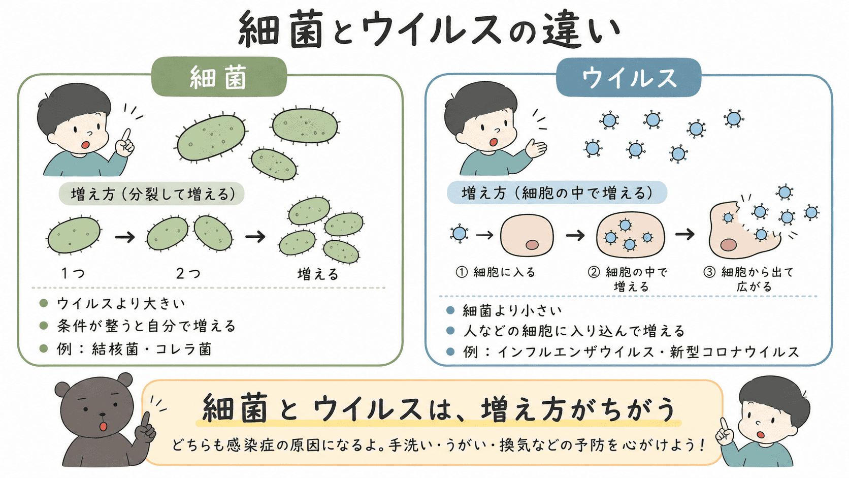 細菌は自分で増えることができ、ウイルスは人などの細胞に入り込んで増えることを比較した図解
