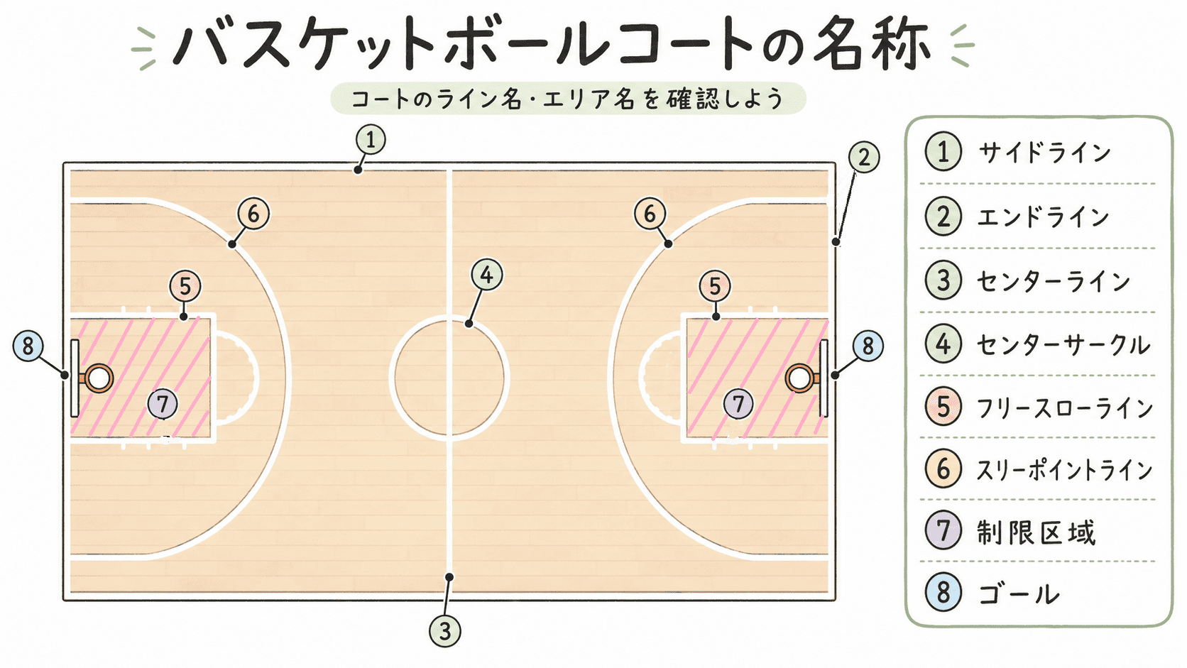 バスケットボールコートのサイドライン、エンドライン、センターライン、センターサークル、フリースローライン、スリーポイントライン、制限区域を示した図解