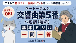 ベートーヴェン「交響曲第5番 ハ短調（運命）」基本ドリル 一問一答