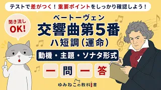 ベートーヴェン「交響曲第5番 ハ短調（運命）」動機・主題・ソナタ形式 一問一答