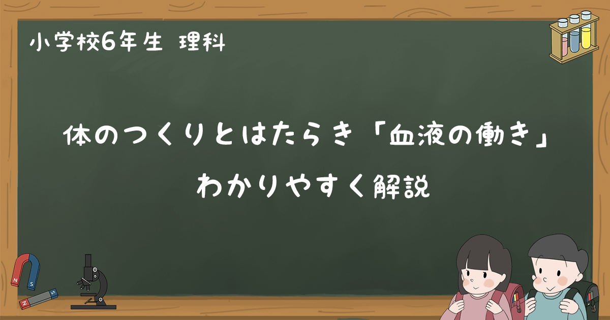 血液の働き 体のつくりとはたらき わかりやすく解説 小6理科 ゆみねこの教科書