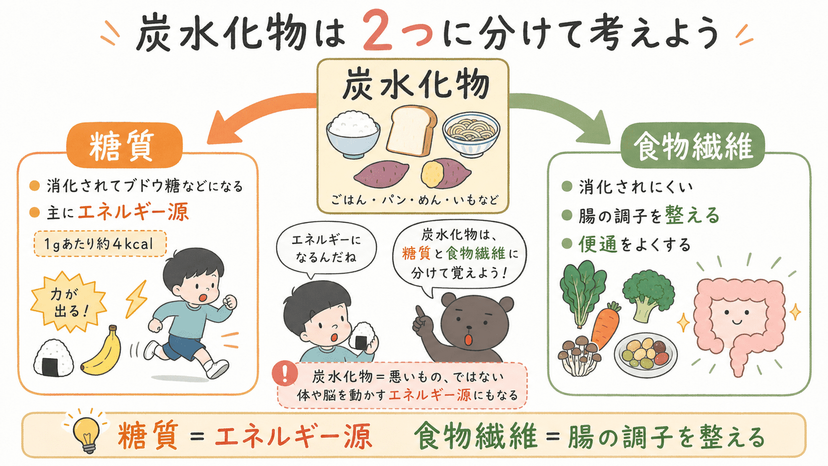 炭水化物は糖質と食物繊維に分けられ、糖質はエネルギー源に、食物繊維は腸の調子を整える働きがあることを示した図解。