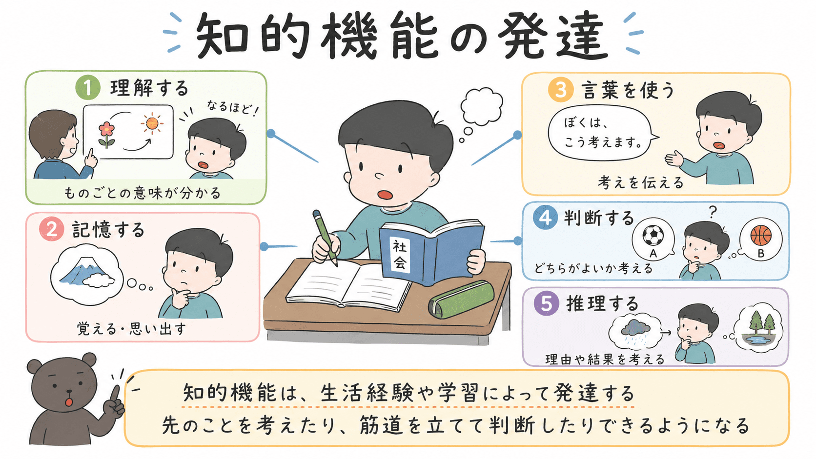 知的機能として、理解する、記憶する、言葉を使う、判断する、推理する力が発達することを示した図解