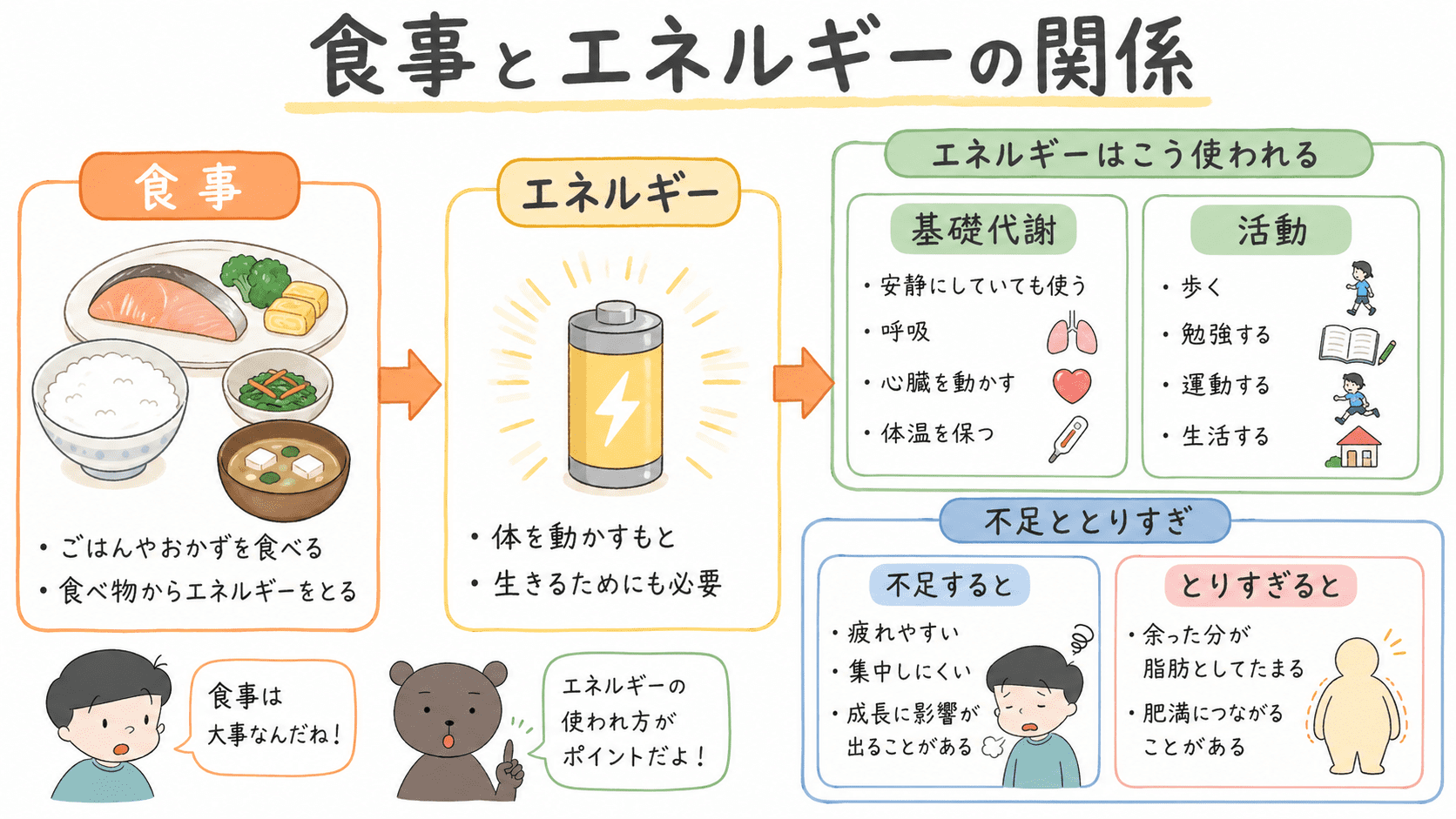 食事でとったエネルギーはどう使われるのを説明する図解イラスト