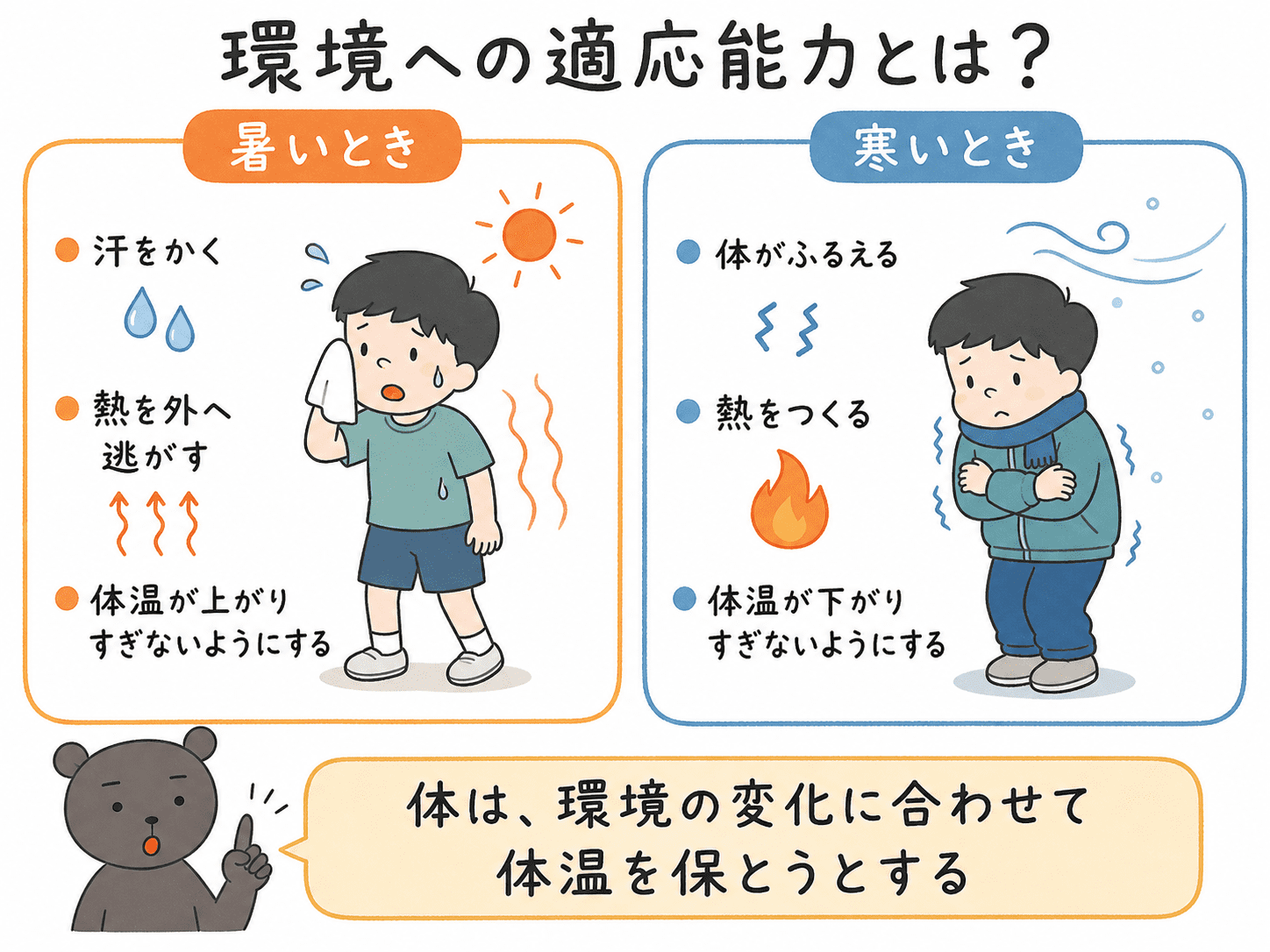 暑いときと寒いときで体がどのように反応して体温を保っているかを示した、環境への適応能力の基本図解
