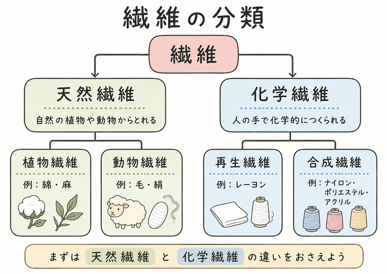 繊維が天然繊維と化学繊維に分かれ、植物繊維・動物繊維・再生繊維・合成繊維に分類されることを中学生向けに整理した図解