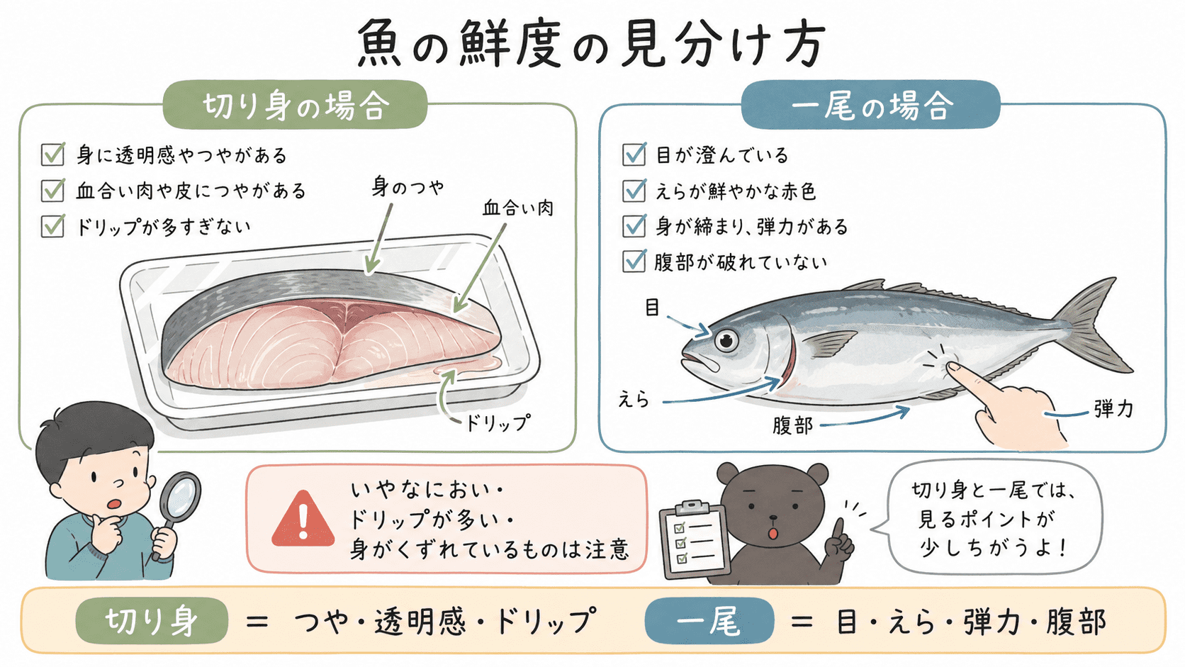 切り身の魚と一尾の魚の鮮度を、つや・透明感・ドリップ・目・えら・弾力・腹部で見分ける図解。