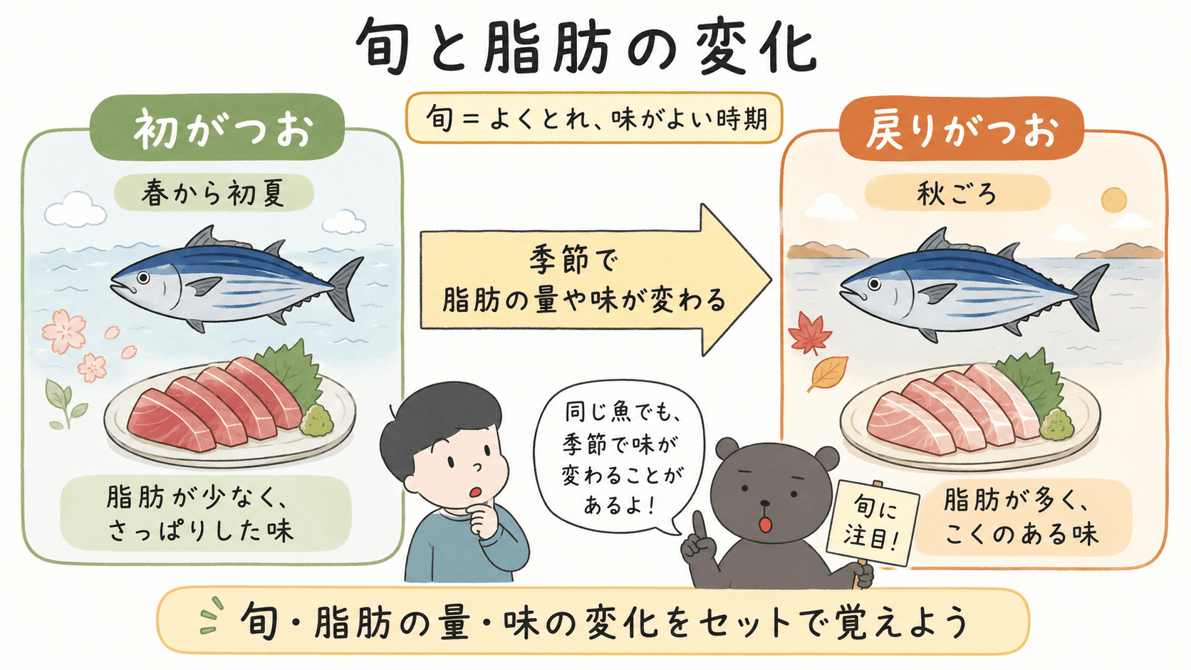 初がつおと戻りがつおを例に、魚は季節によって脂肪の量や味が変わることを示した図解。