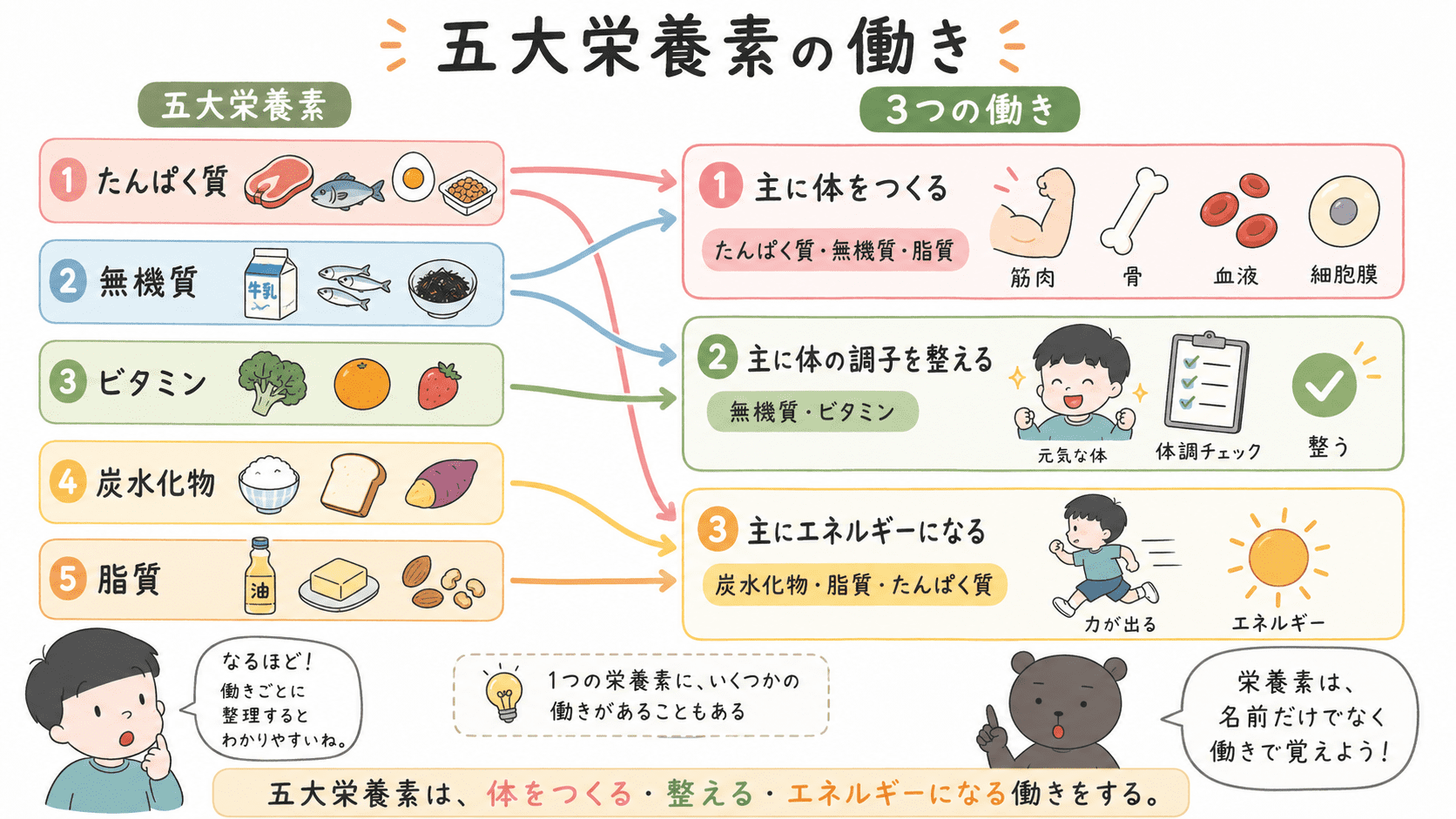 五大栄養素を、体をつくる、体の調子を整える、エネルギーになるという3つの働きに分けて整理した図解。