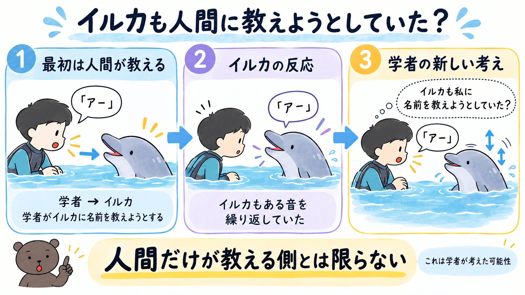 若い学者がイルカに名前を教えようとする場面から、イルカも学者に名前を教えようとしていた可能性に気づくまでを3段階で示す図解