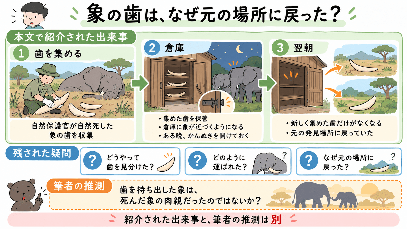象の歯が倉庫からなくなり元の発見場所に戻されたという事例と、残された疑問、筆者の肉親説を区別した図解