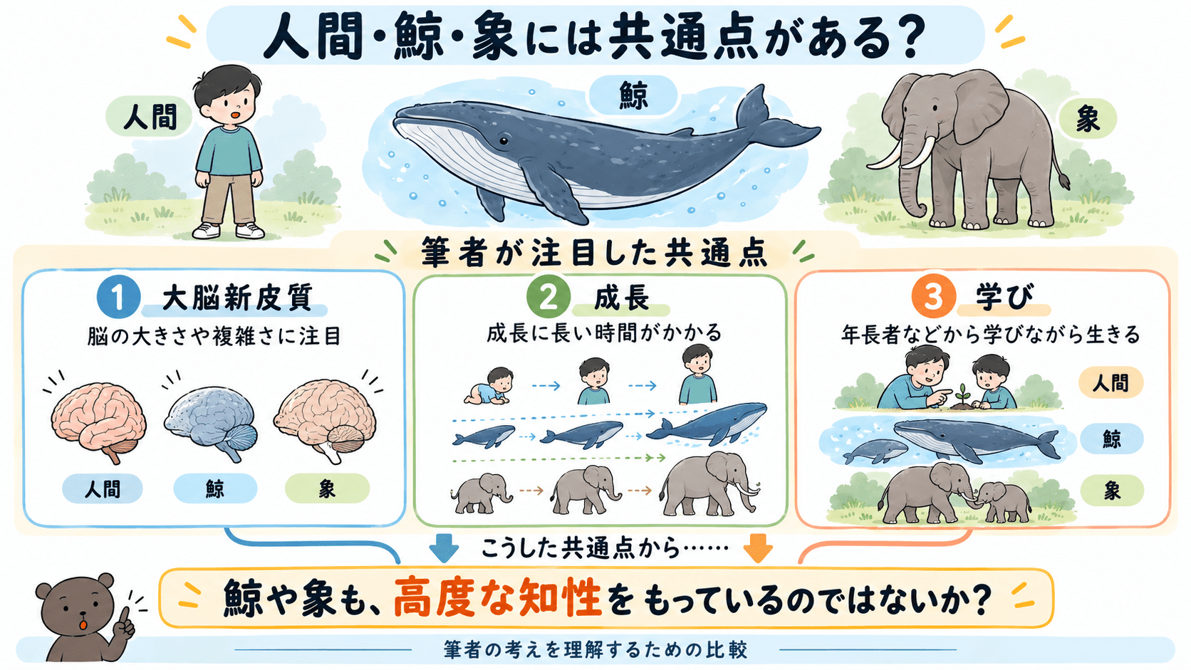 龍村仁「ガイアの知性」で筆者が注目した、人間・鯨・象の大脳新皮質や成長、学習に関する共通点を整理した図解