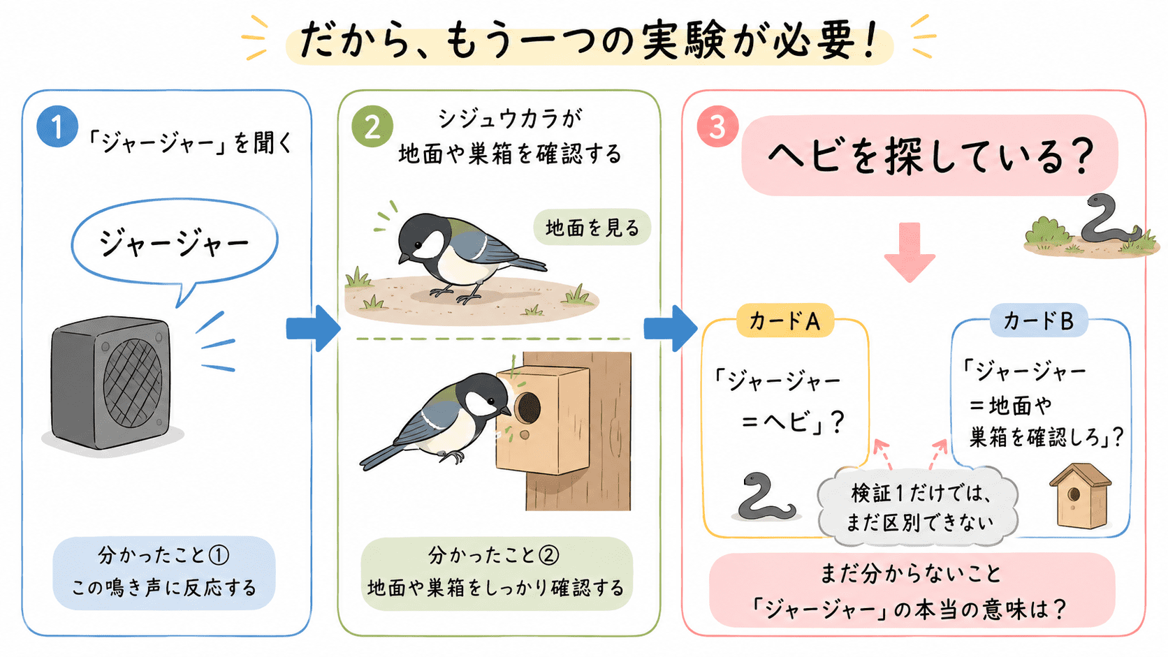 ジャージャーを聞いたシジュウカラが地面や巣箱を確認する検証1と、その限界を示した図解