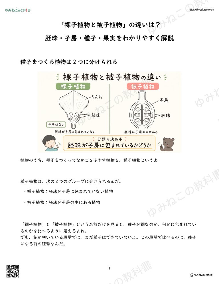 「裸子植物と被子植物」の違いは？ 胚珠・子房・種子・果実をわかりやすく解説