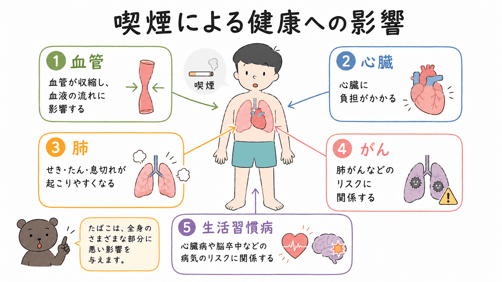 喫煙が血管、心臓、肺に影響し、がんや心臓病、脳卒中、COPDなどのリスクに関係することを整理した図解
