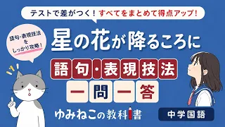 安藤みきえ「星の花が降るころに」の語句・表現技法一問一答