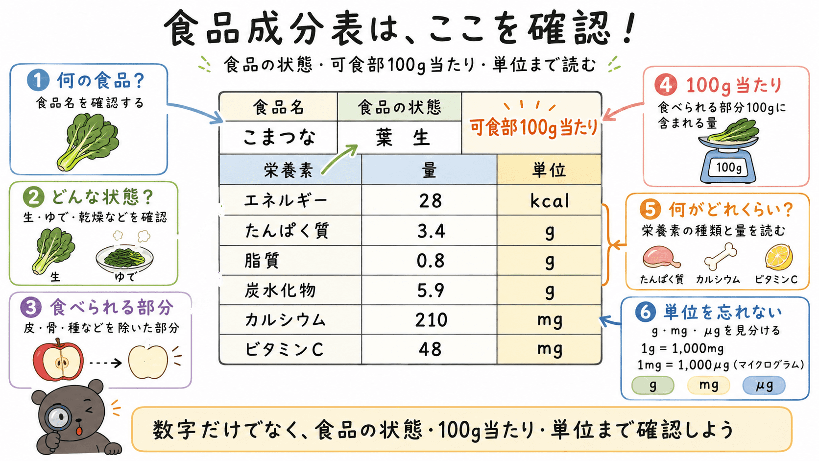食品成分表を見るときに、食品名、食品の状態、可食部100g当たり、栄養素の量、g・mg・μgの単位を順番に確認する方法を示した中学家庭科用図解。