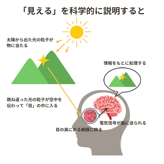 森田真生の「白紙」の「見える」ことの仕組みを図解で説明しているイラスト