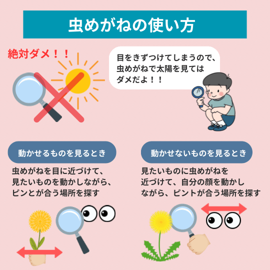 虫眼鏡の使い方を小学生向けに説明している図解イラスト