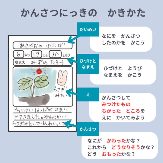 観察日記の書き方と、例を紹介している図解イラスト