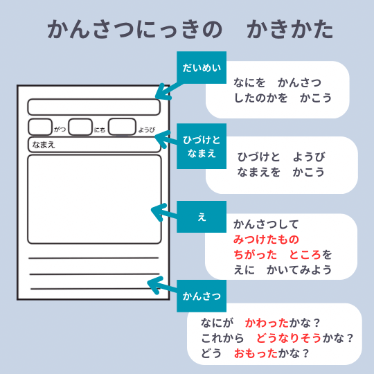 観察日記の書き方を説明する図解イラスト