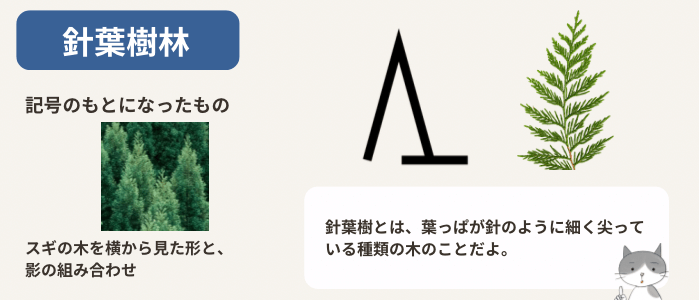 針葉樹林の地図記号と、その由来を説明する図解イラスト
