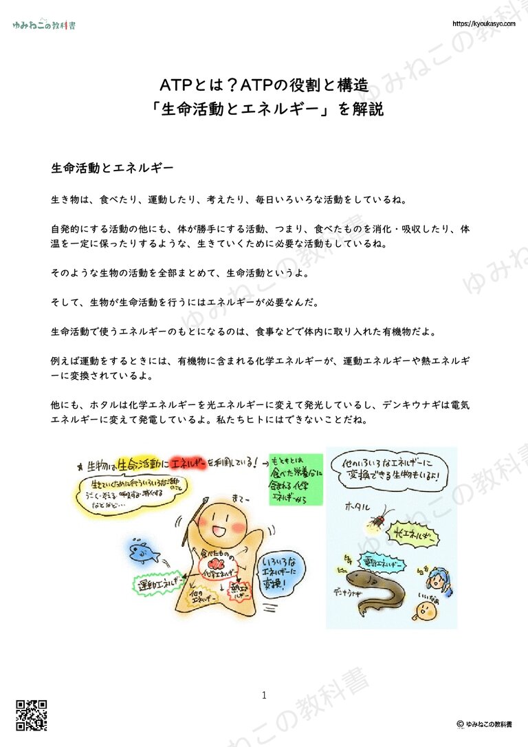 ATPとは？ATPの役割と構造 「生命活動とエネルギー」を解説