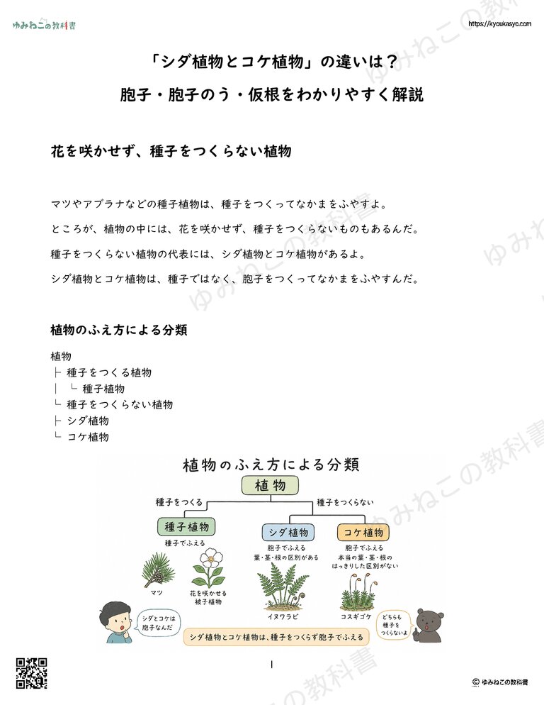 「シダ植物とコケ植物」の違いは？胞子・胞子のう・仮根をわかりやすく解説