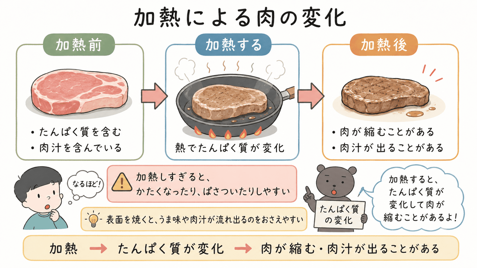 肉を加熱すると、たんぱく質が変化して肉が縮み、肉汁が出ることがあることを示した図解。