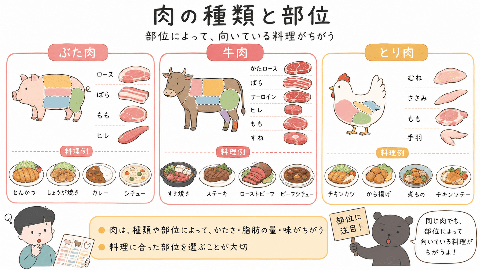 ぶた肉・牛肉・とり肉の主な部位と、向いている料理の例を整理した図解。