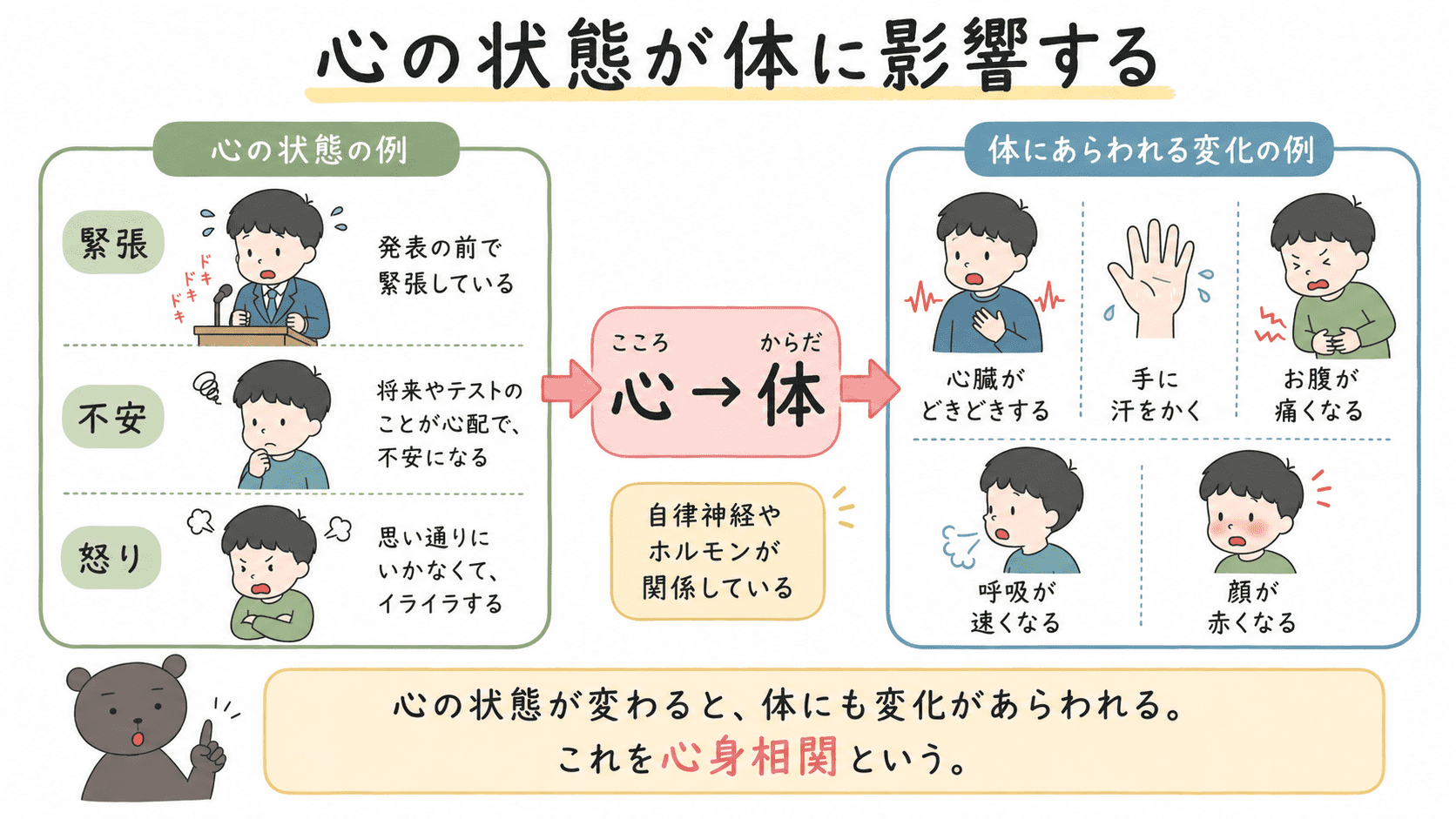 緊張や不安などの心の状態によって、心臓のどきどき、手の汗、腹痛などの体の変化が起こることを示した図
