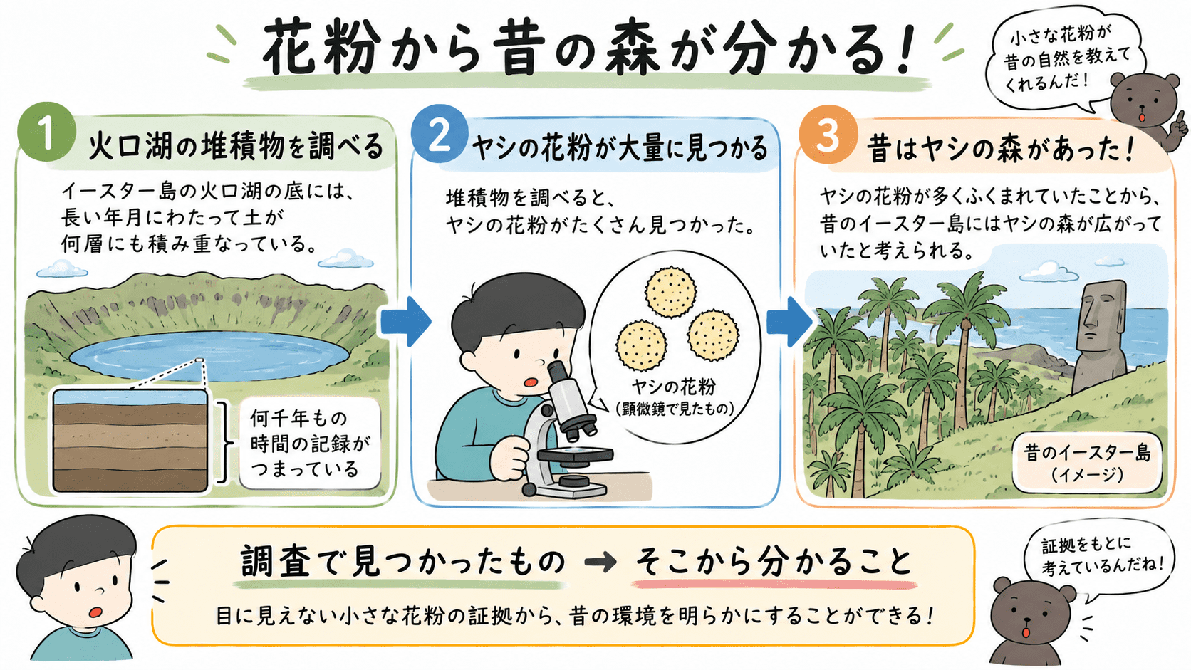 火口湖の堆積物からヤシの花粉が大量に見つかり、かつてイースター島にヤシの森があったことが分かった流れを示した図。