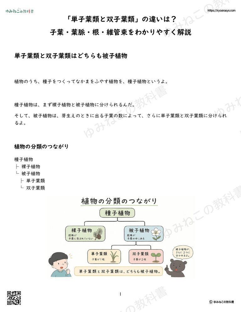 「単子葉類と双子葉類」の違いは？子葉・葉脈・根・維管束をわかりやすく解