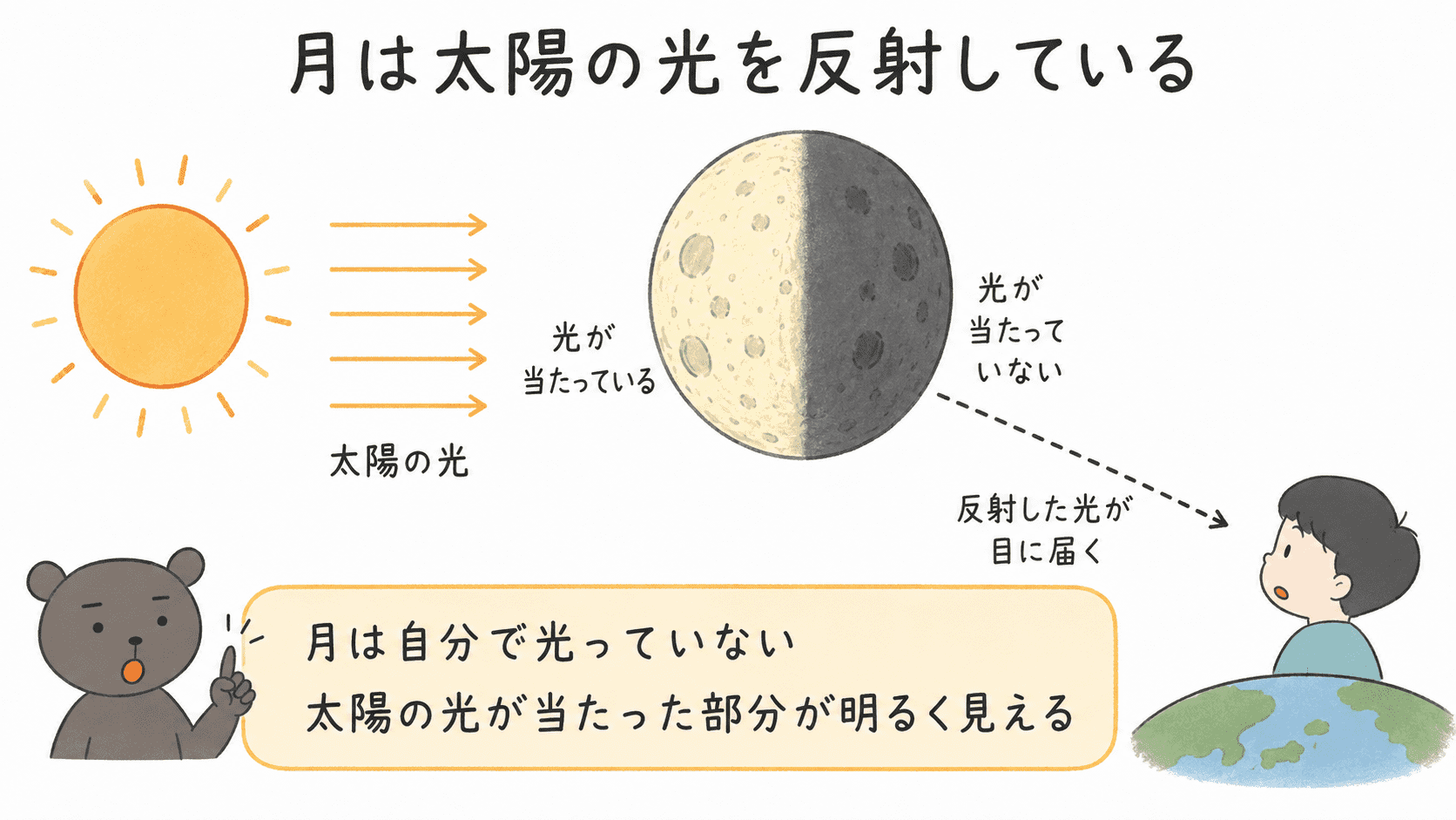 月は自分で光らず、太陽の光が当たった側が明るく見えることを示した図
