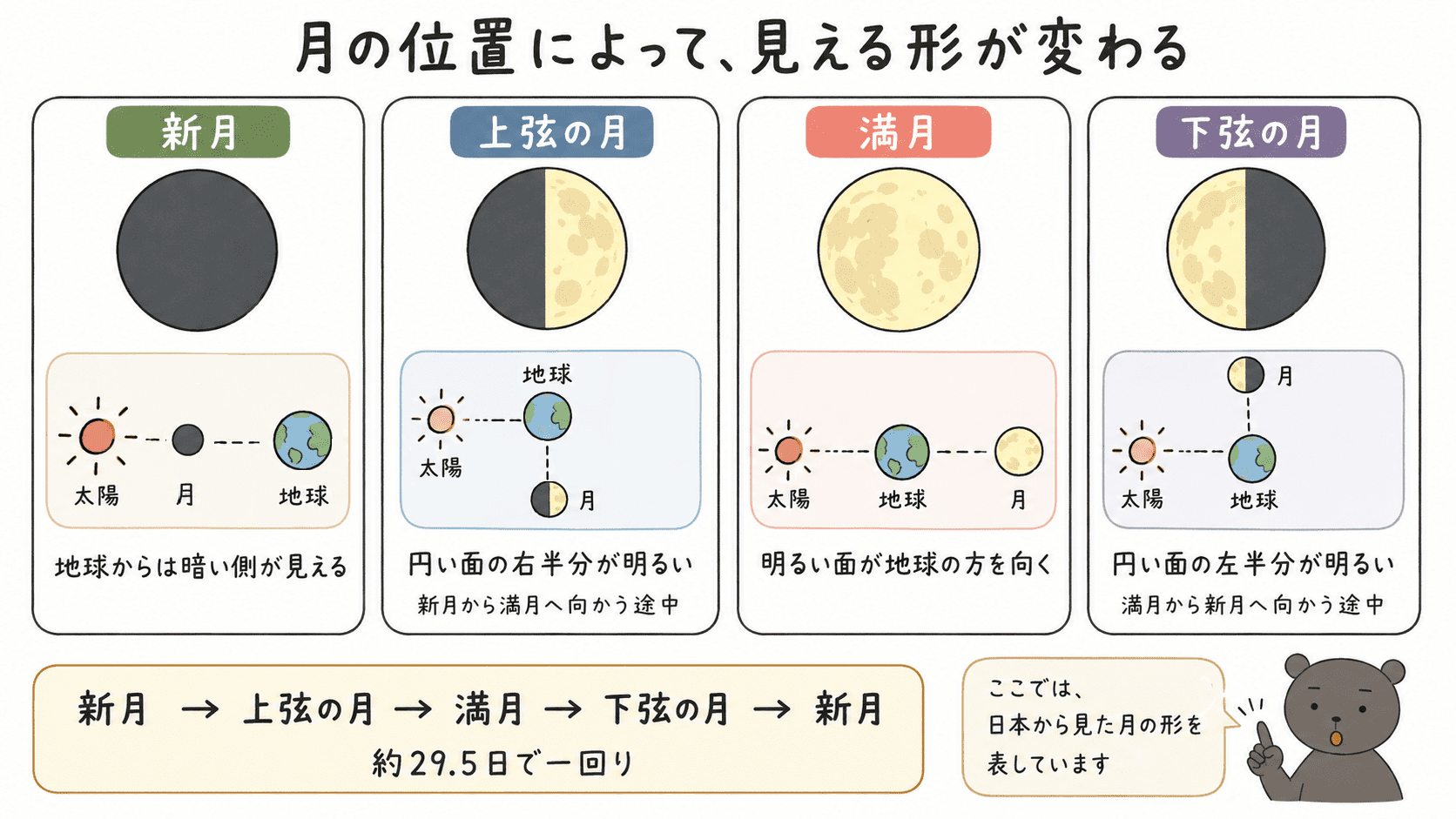 新月・上弦の月・満月・下弦の月について、地球から見た形と太陽との方向を比較した図