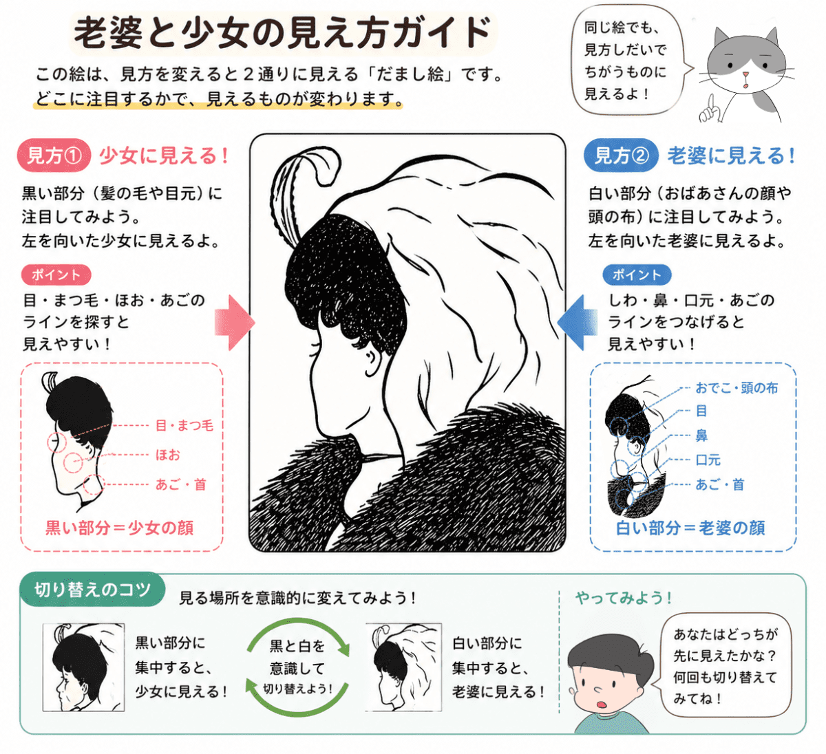 老婆と少女のだまし絵の見え方を説明する図解イラスト