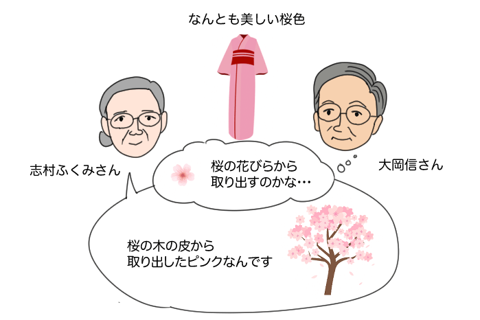 なんとも美しい桜色が、桜の花びらからではなく桜の木の皮から取り出したことを説明するイラスト