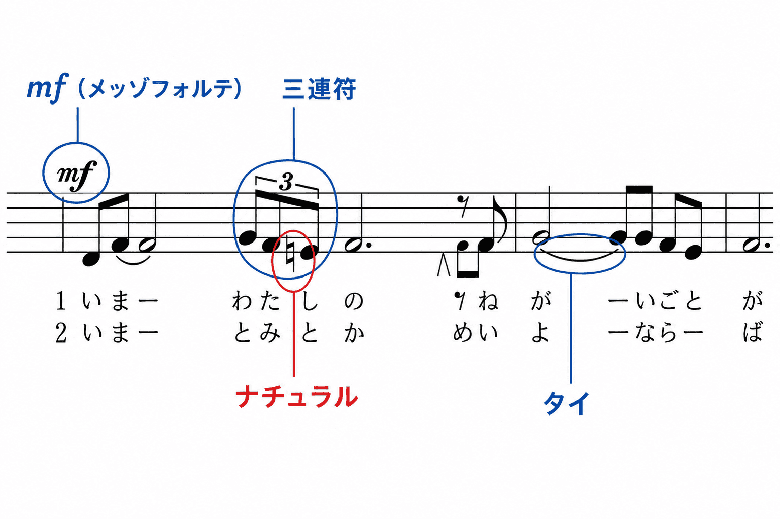 「翼をください」の楽譜の一部に、mf（メッゾフォルテ）、三連符、ナチュラル、タイの位置と名前を示した中学音楽向け解説画像