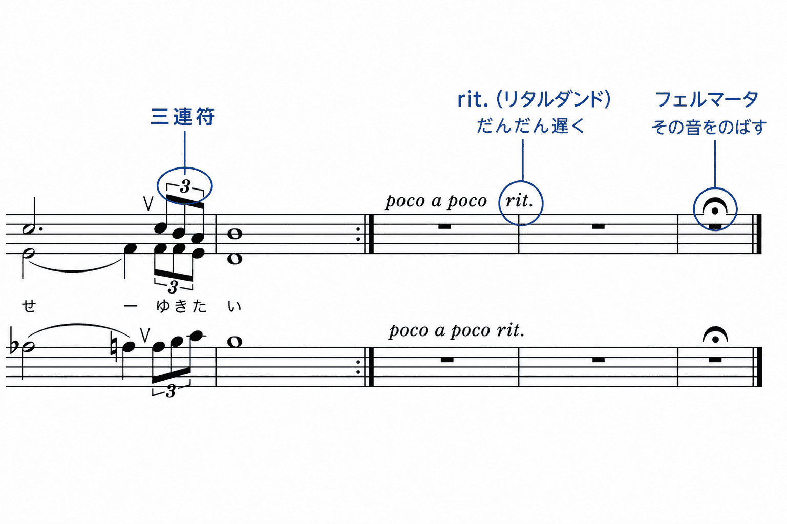 「翼をください」の楽譜の一部に、mf（メッゾフォルテ）、三連符、ナチュラル、タイの位置と名前を示した中学音楽向け解説画像