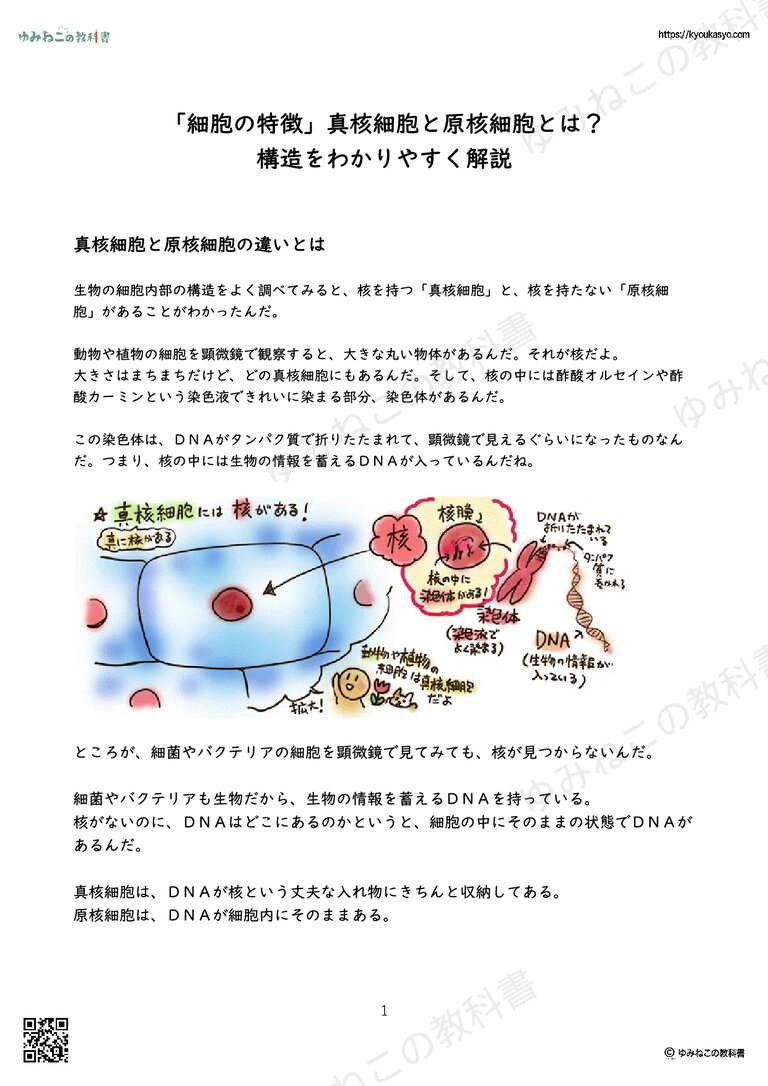 「細胞の特徴」真核細胞と原核細胞とは？ 構造をわかりやすく解説