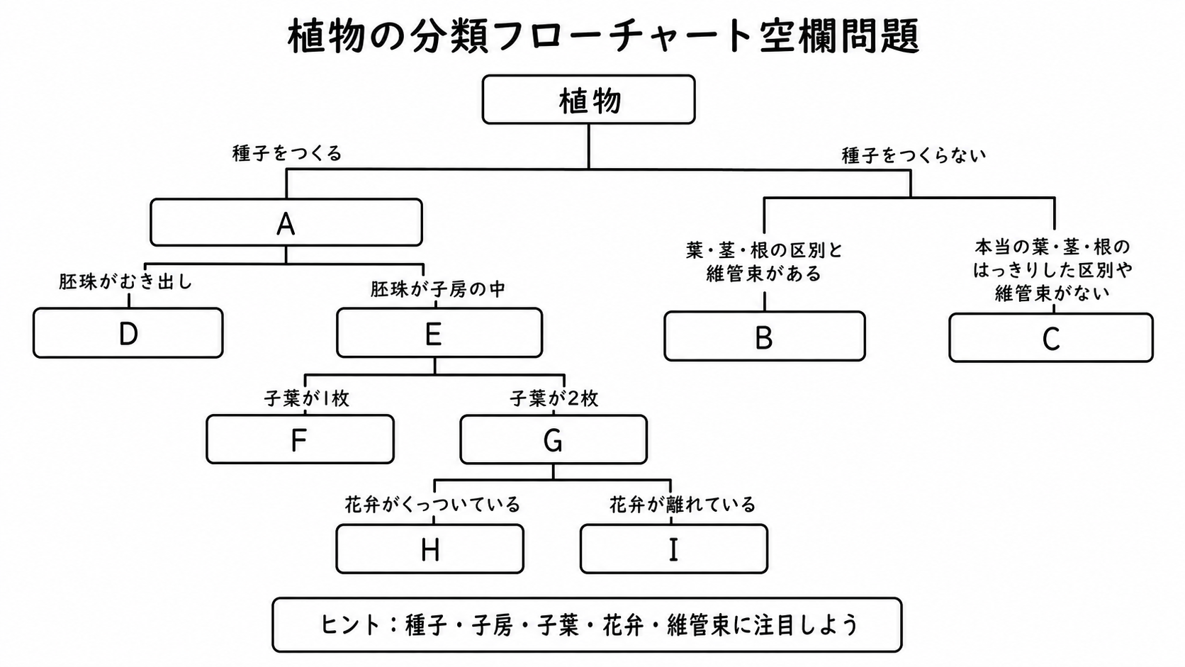 植物を種子の有無、子房の有無、子葉の数、花弁のつき方、葉・茎・根や維管束の有無で分類する空欄つき白黒問題図