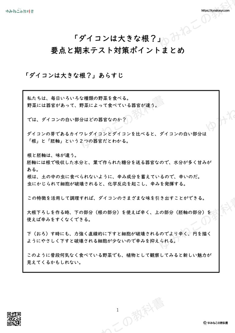 「ダイコンは大きな根？」 要点と期末テスト対策ポイントまとめ