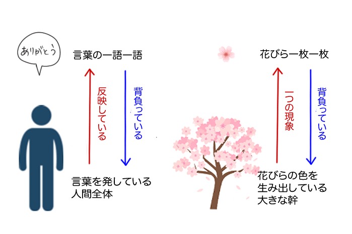 人間全体と言葉の関係と、大きな幹と花びらとの関係が同じことを説明しているイラスト