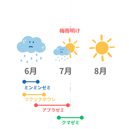 蝉の孵化の時期と梅雨の時期の関係の図解イラスト