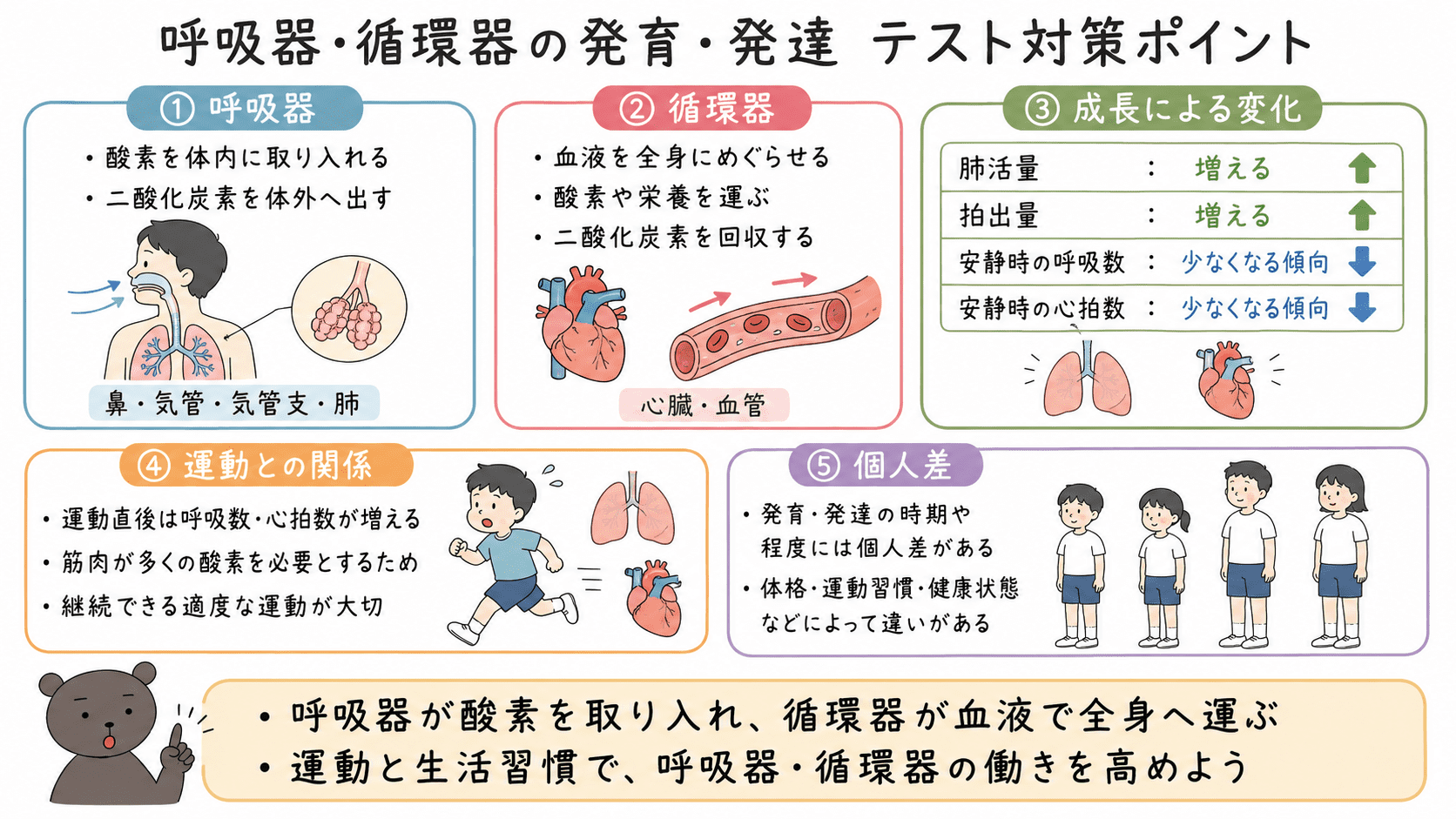 中学1年生向け保健体育の記事に使う、やさしくて見やすい教育用インフォグラフィックを作成してください。
